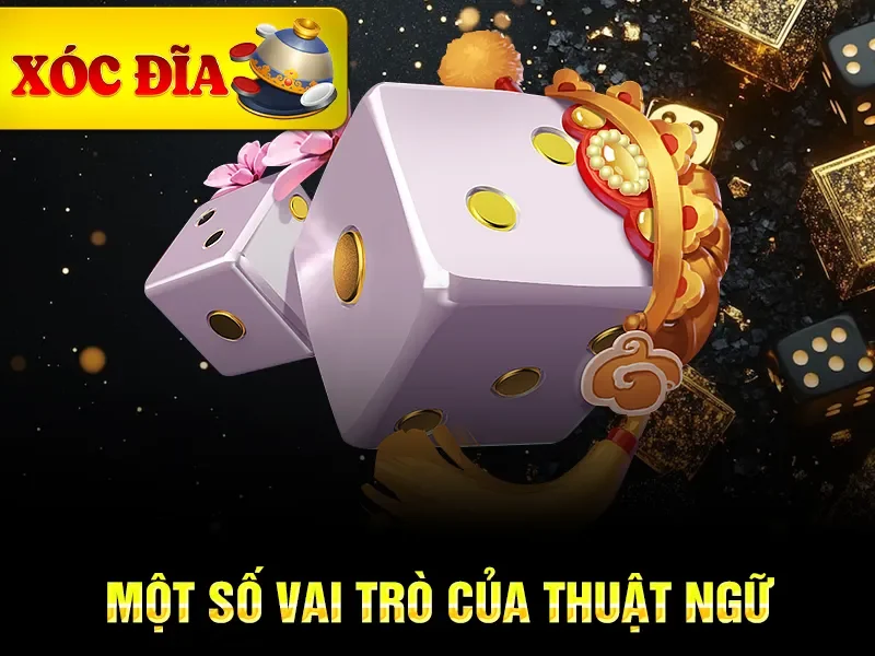 Một số vai trò của thuật ngữ