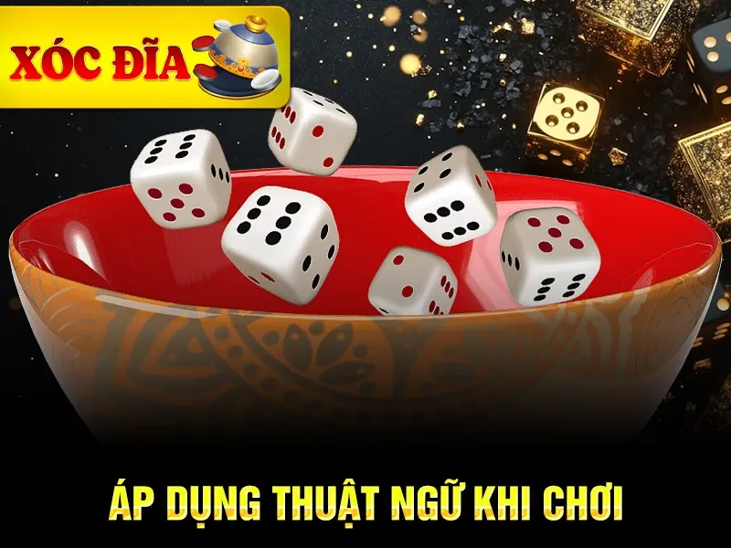 Áp dụng thuật ngữ khi chơi